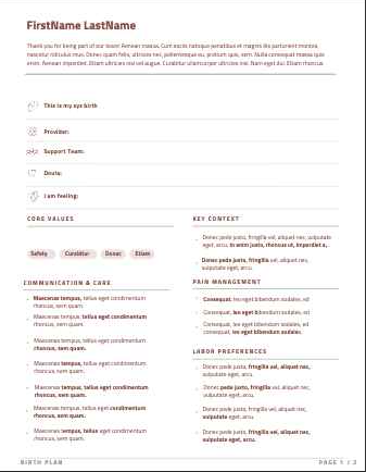 A finished birth plan page